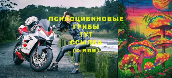 apvp Алексеевка
