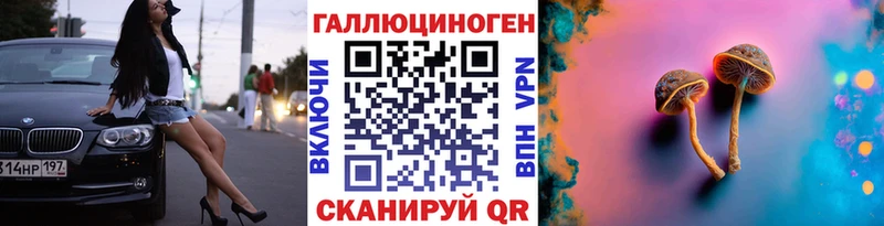 закладки Новозыбков Псилоцибиновые грибы Magic Shrooms